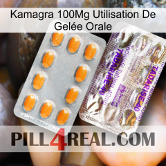 Kamagra 100Mg Utilisation De Gelée Orale new12